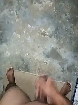 Pokazy przed kamerką – Assamese_Sunny2