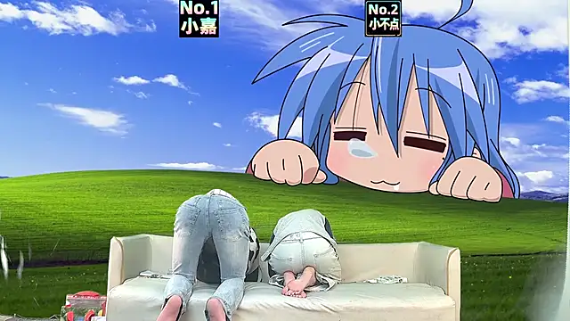 Show Webcam de NMX-1