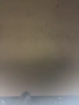 SLNatashaのウェブカメラショー