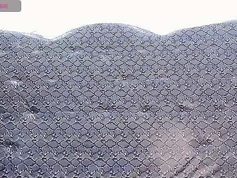 Webkamerová show Salome_bichtxx