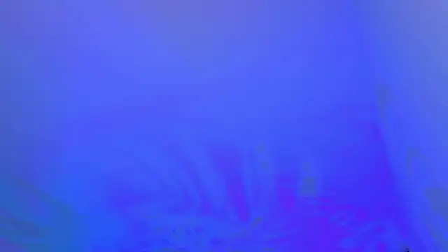 HotBustyBabeX – Live XXX-chat