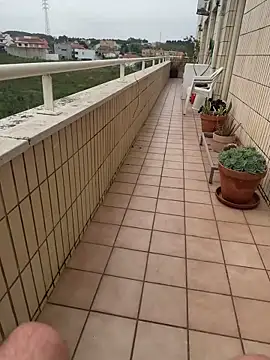 Show de Noitelivre na webcam