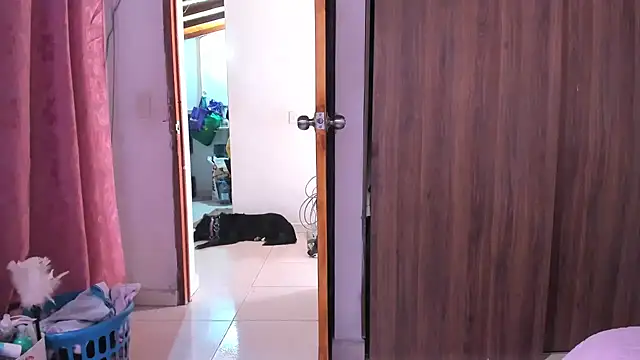 Chat XXX Live LillyCandy