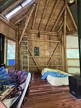 Jardincito 网络视讯表演