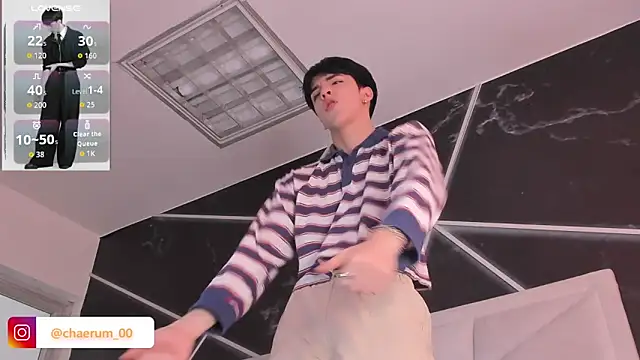 Show Webcam de AerumChae