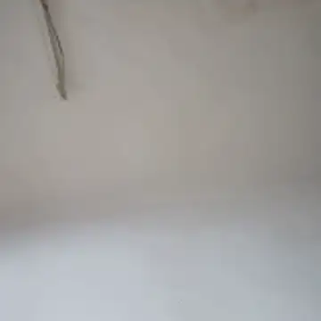 JOSEEEF111 Webcam Show