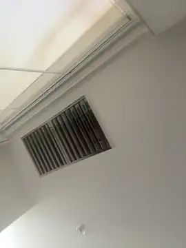 zensorial's Webcam Show