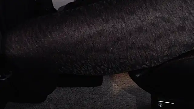 Pertunjukan Kamera Web Nylonplay1