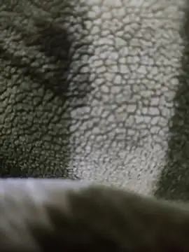 โชว์เว็บแคมของ Pop1977