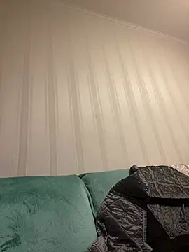 Frosln Webbikameraesitys