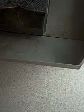 Show Webcam de lolabunny9