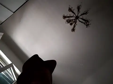 FINCHELABARCAVA Webcam Show