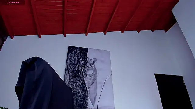 Santos_ramirez1: απευθείας συνομιλία ΧΧΧ