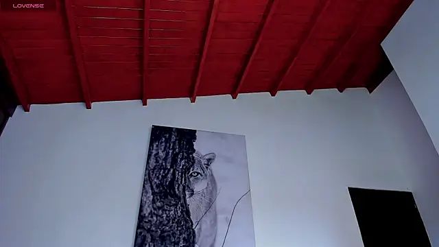 Živý XXX chat Santos_ramirez1