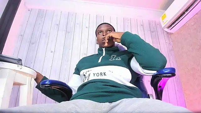 mike_alyのウェブカメラショー