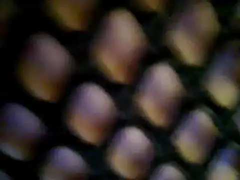 sexymitchyx24 Pertunjukan Webcam