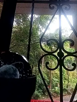 Chat XXX ao vivo de SabrinaVantress