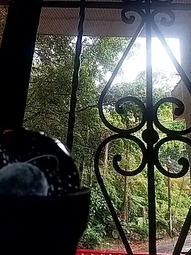 SabrinaVantress' Live XXX Chat