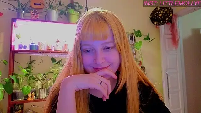 LittleFoxHoleのライブXXXチャット