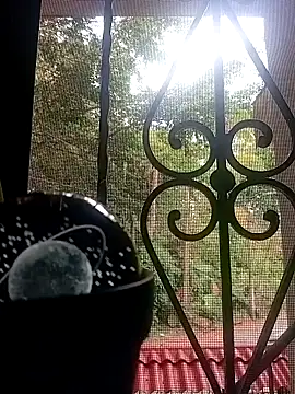 แชท XXX สดของ SabrinaVantress