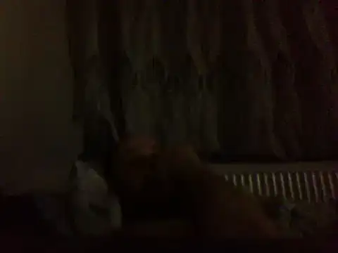 FROL83 – webcam-show