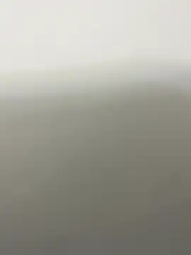 Show webcam de 4dagals