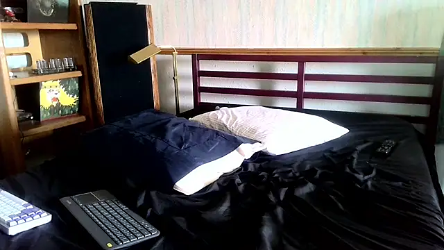 Show webcam de HerouxHero