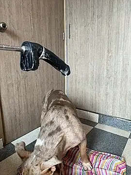 ValentinaBianchi Adlı Modelin Canlı XXX Sohbeti