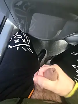 Show de webcam de chicnormal35