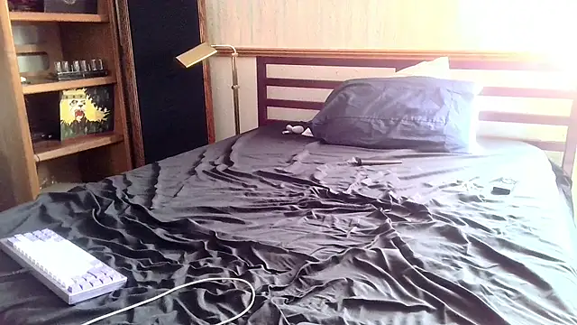 Show webcam de HerouxHero