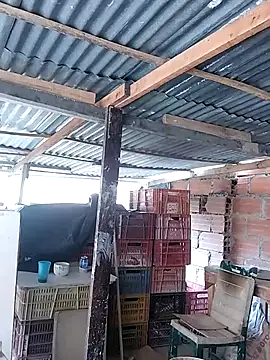 hoteder: διαδικτυακό σόου στην κάμερα