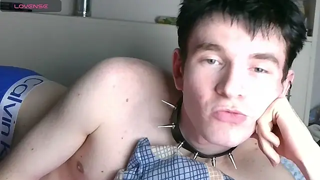 Ernest_icen Webbikameraesitys