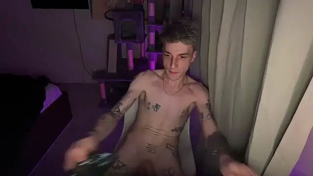 Pertunjukan Kamera Web davesinner