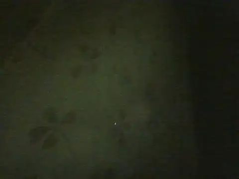 Show de webcam de smroy93612