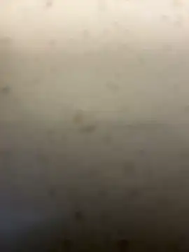 โชว์เว็บแคมของ Cardcounter909