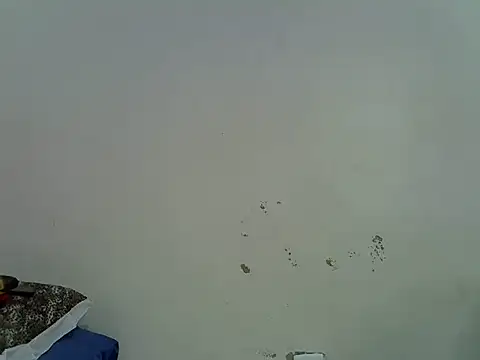 Rasta_tattooed: онлайн-секс-чат