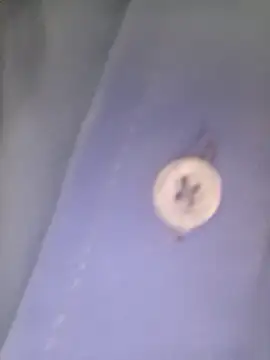 LORENA--01 Adlı Modelin Canlı XXX Sohbeti