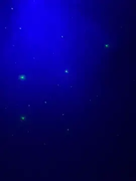 Wearpantyhosenorfolk webkamerás műsora