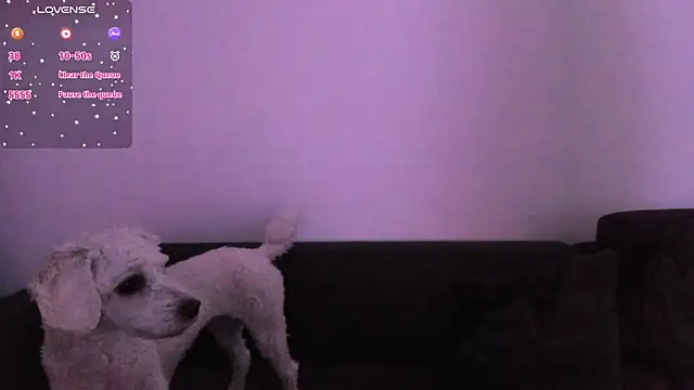 Tenderly_Couple's Live XXX Chat