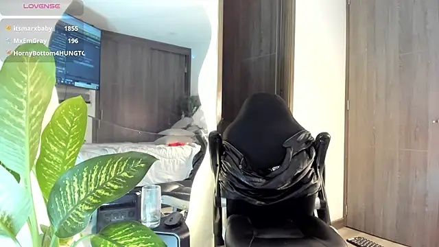 Dimitri_Bass: онлайн-секс-чат