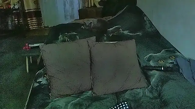 Chat XXX en directo de sex2