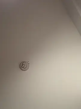 Chat XXX ao vivo de Andrestarr