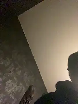 FastBoy00n Webbikameraesitys