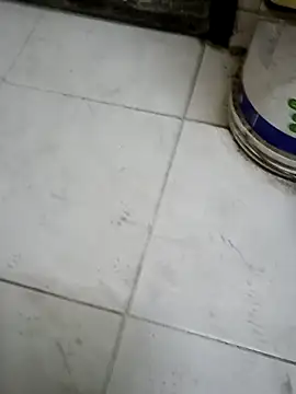 ConvoyedSubgroup – Kamerová šou