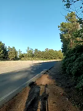 exhibitionistmale – webcam-show