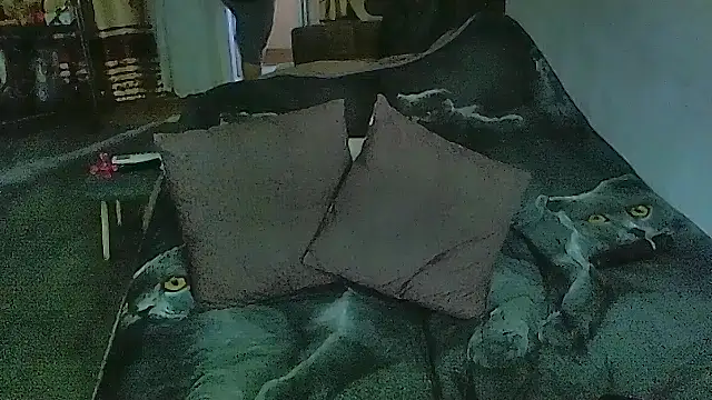 sex2 Adlı Modelin Canlı XXX Sohbeti