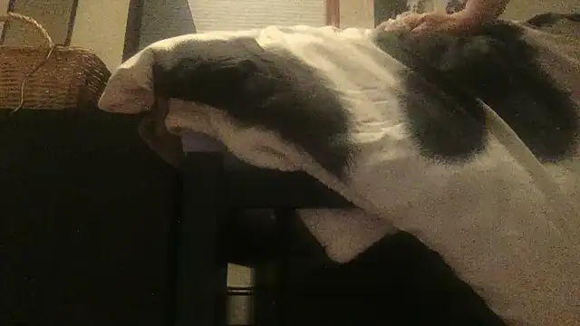 โชว์เว็บแคมของ Girlnextdoor242