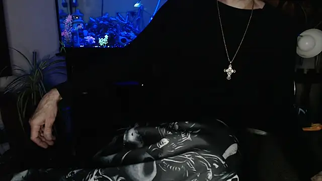 EspanolVato élő XXX-chatje