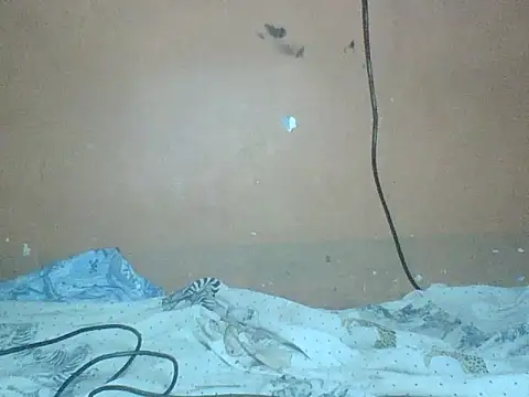 Sexyass100 – Live XXX-chat