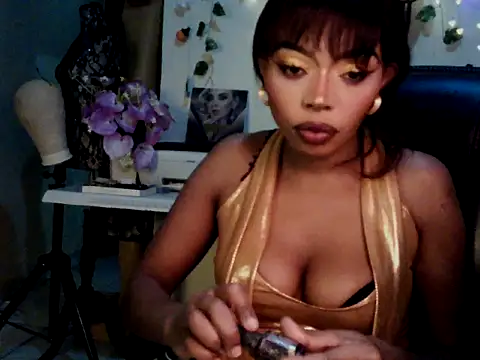 Show webcam de Anaconda2350